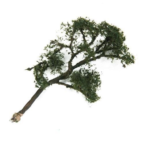 Albero sicomoro scala - di,